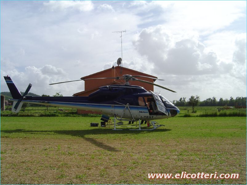 elifoto (89)